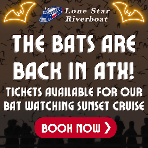 Bat watching sunset cruises promo
